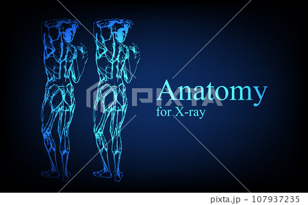 Human anatomy in front on x ray view. Anatomy human body connection, Medical, educational or science banner on futuristic blue background, Vector hand drawn illustration Human anatomy in front on x ray view. Anatomy human body connection, Medical, educational or science banner on futuristic blue background, Vector hand drawn illustration 107937235
