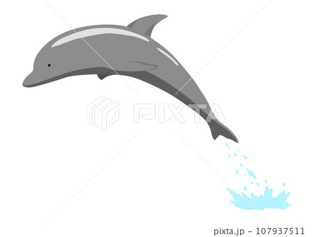 Dolphin jumping out of water animation element. Illustration of dolphin performing an acrobatic jump in the ocean. Great for marine life or summer vacation designs Dolphin jumping out of water animation element. Illustration of dolphin performing an acrobatic jump in the ocean. Great for marine life or summer vacation designs 107937511