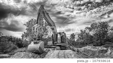 Crawler excavator 107938618