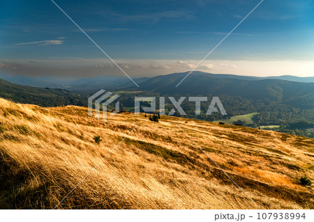 Polonina Wetlinska, Bieszczady mountain, Bieszczady National Park, Poland. Polonina Wetlinska, Bieszczady mountain, Bieszczady National Park, Poland. 107938994