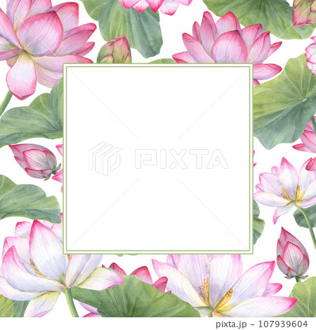 Square frame of blooming water lilies and green leaves. Lotus flowers, Indian lotus, leaf, bud. Space for text. Watercolor illustration. For greetings, package, label, invitation 107939604