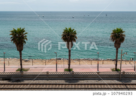 Tram railway and high palms on embankment in Vilassar de Mar, Barcelona 107940293