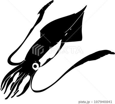 ヤリイカの魚拓のイラスト ヤリイカの魚拓のイラスト 107940841