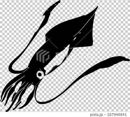 ヤリイカの魚拓のイラスト ヤリイカの魚拓のイラスト 107940841