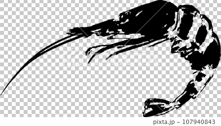 海老の魚拓のイラスト 海老の魚拓のイラスト 107940843