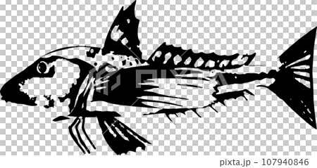 ホウボウの魚拓のイラスト ホウボウの魚拓のイラスト 107940846