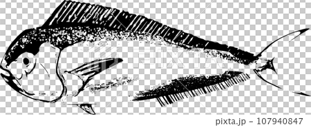 海豚魚的魚印插圖 107940847