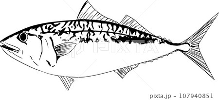 サバの魚拓のイラスト 107940851