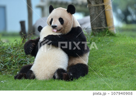 優浜におっぱいを与える良浜ママ 107940908