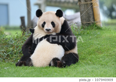 優浜におっぱいを与える良浜ママ 107940909