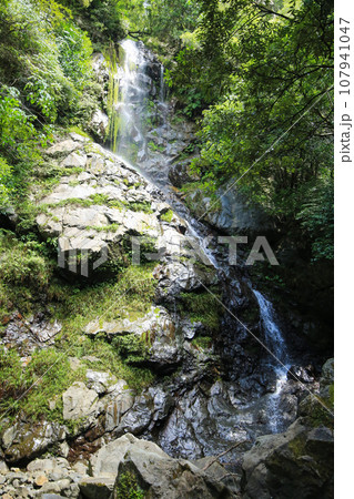 愛媛県松野町 天ヶ滝 愛媛県松野町 天ヶ滝 107941047