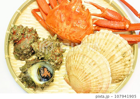 寺泊直送の海産物 107941905