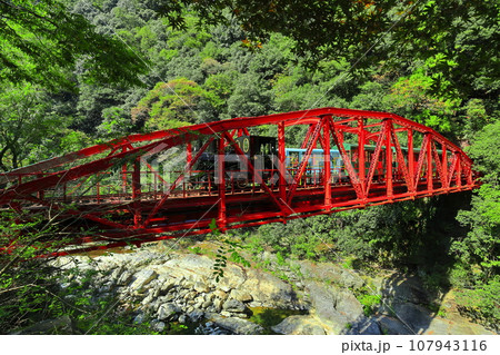 【愛媛県】マイントピア別子のトロッコ 【愛媛県】マイントピア別子のトロッコ 107943116