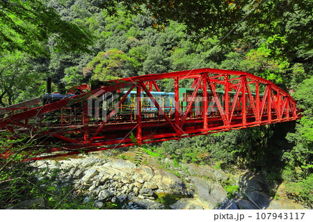 【愛媛県】マイントピア別子のトロッコ 107943117