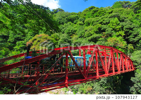 【愛媛県】マイントピア別子のトロッコ 【愛媛県】マイントピア別子のトロッコ 107943127