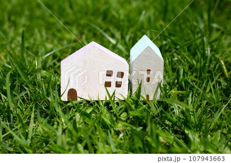 Miniature wooden house on green grass 107943663