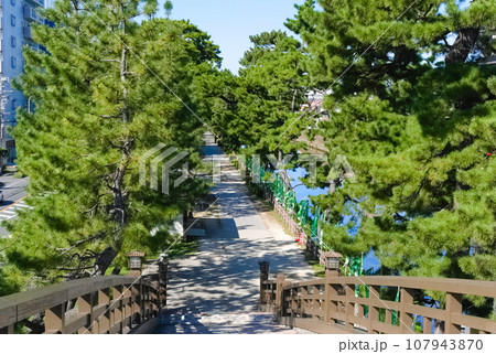 埼玉県草加市綾瀬川沿いの風景2023年10月 埼玉県草加市綾瀬川沿いの風景2023年10月 107943870