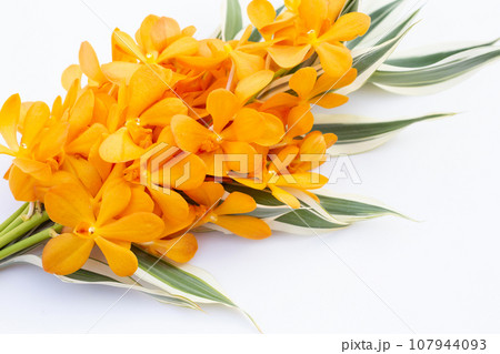Beautiful Thai bouquet orchid flower for pray to Buddha 107944093