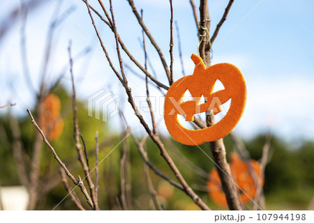 かぼちゃの飾り ハロウィン イベント 秋 イメージ 107944198
