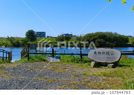 千葉県松戸市矢切の渡し周辺2023年10月 千葉県松戸市矢切の渡し周辺2023年10月 107944763