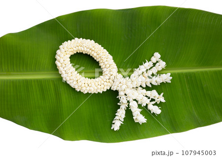Thai white jasmine flower garland 107945003