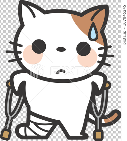 拄著拐杖站著的貓角色 拄著拐杖站著的貓角色 107945245