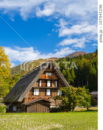 岐阜_白川郷合掌造りと紅葉の風景 107945296