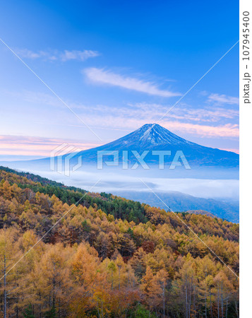 山梨_紅葉と富士山の朝焼け絶景風景 107945400