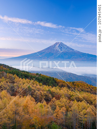 山梨_紅葉と富士山の朝焼け絶景風景 107945401