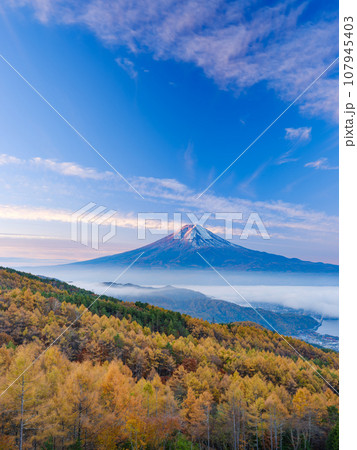 山梨_紅葉と富士山の朝焼け絶景風景 107945403