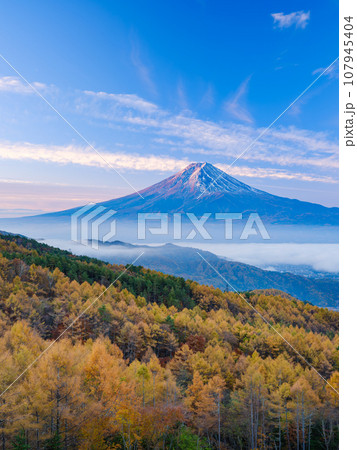 山梨_紅葉と富士山の朝焼け絶景風景 107945404
