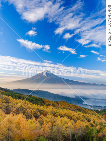 山梨_紅葉と富士山の朝焼け絶景風景 107945408