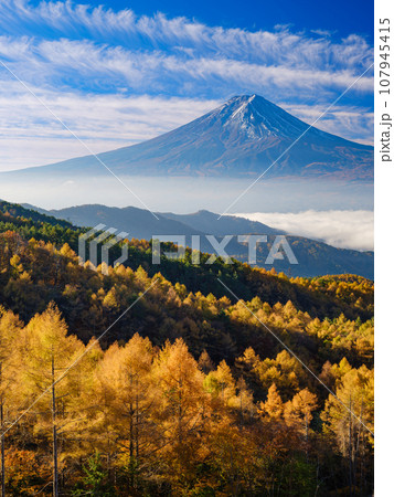 山梨_紅葉と富士山の朝焼け絶景風景 107945415