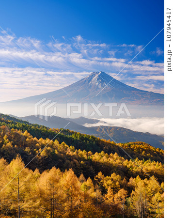 山梨_紅葉と富士山の朝焼け絶景風景 107945417