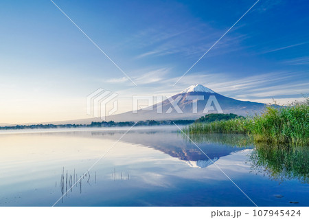 （山梨県）河口湖の向こうに薄雪化粧した富士山 107945424