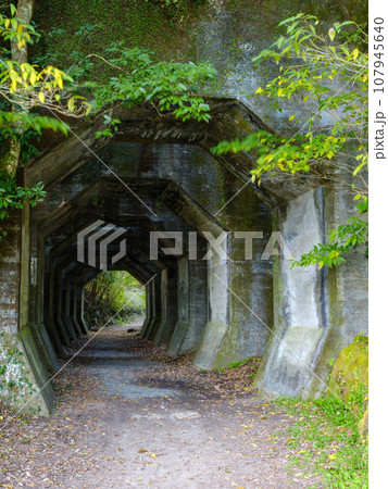 熊本_熊延鉄道遺構の八角トンネルの風景 107945640