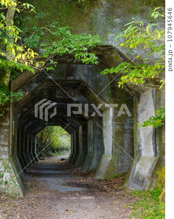 熊本_熊延鉄道遺構の八角トンネルの風景 107945646