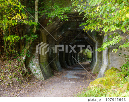 熊本_熊延鉄道遺構の八角トンネルの風景 107945648