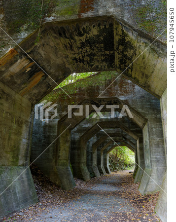 熊本_熊延鉄道遺構の八角トンネルの風景 107945650