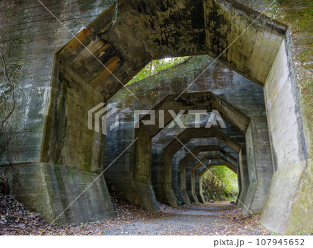 熊本_熊延鉄道遺構の八角トンネルの風景 107945652