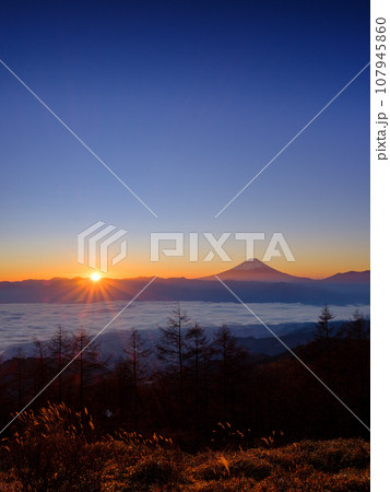 山梨_甘利山から見る甲府盆地と富士山の夜明けの絶景風景 107945860