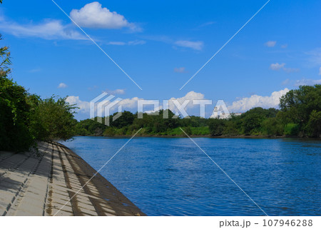 埼玉県三郷市江戸川釣りスポット2023年10月 107946288