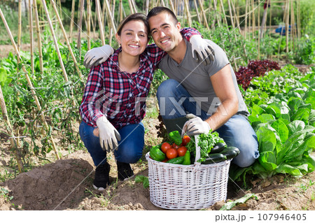Couple of successful gardeners with basket of vegetables 107946405