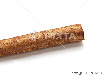 Burdock Root (Gobo) on white background. 107946604