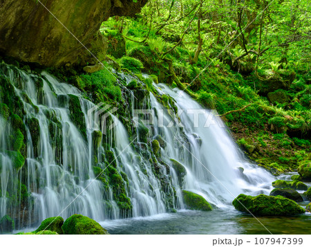 秋田_元滝伏流水の絶景風景 107947399