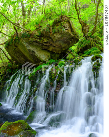秋田_元滝伏流水の絶景風景 107947407