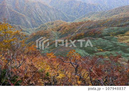 朝日連峰の紅葉 朝日連峰の紅葉 107948837