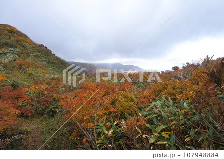 朝日連峰の紅葉 107948884
