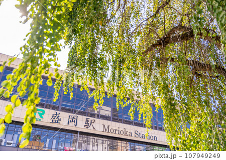 盛岡駅 ケヤキ並木 盛岡駅 ケヤキ並木 107949249