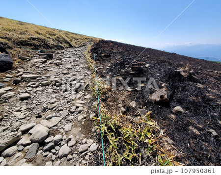 山火事で焦げた草原(霧ヶ峰・車山) 山火事で焦げた草原(霧ヶ峰・車山) 107950861